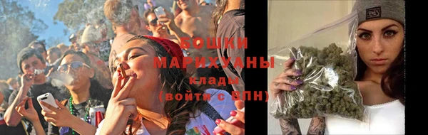 прущие грибы Гусев