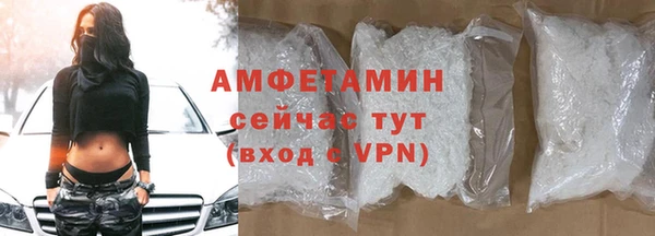 прущие грибы Гусев