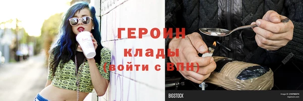 прущие грибы Гусев