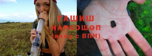 прущие грибы Гусев
