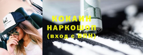 прущие грибы Гусев