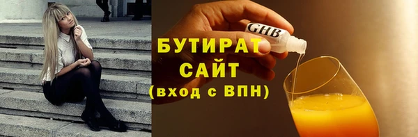 прущие грибы Гусев