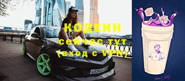 прущие грибы Гусев