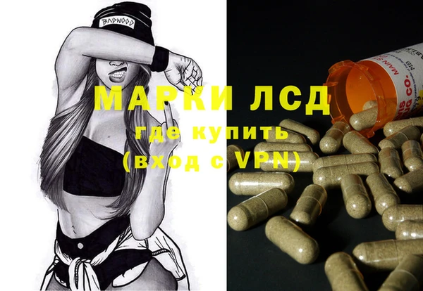 прущие грибы Гусев