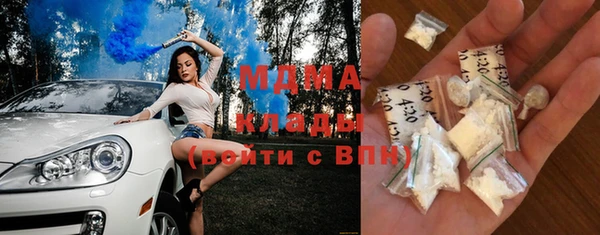 прущие грибы Гусев