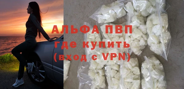 прущие грибы Гусев