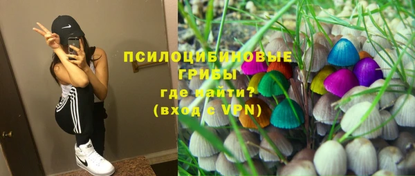 марки lsd Гусь-Хрустальный