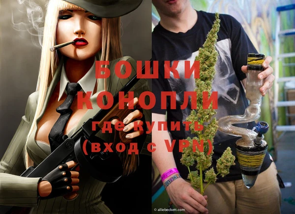 прущие грибы Гусев