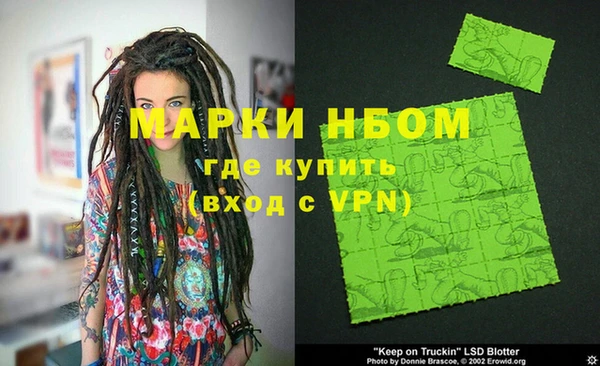 прущие грибы Гусев