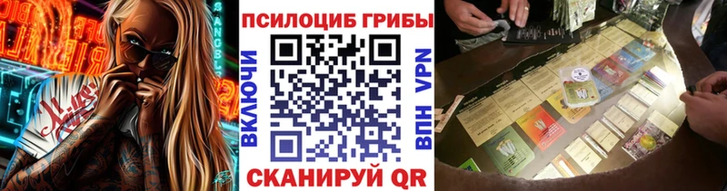 Псилоцибиновые грибы Psilocybine cubensis  Купить где  Тейково 